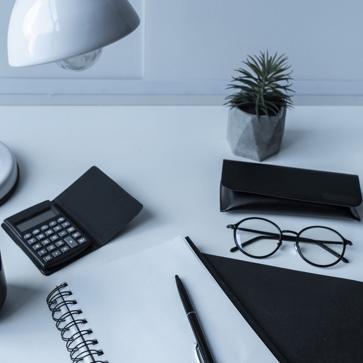 Herramientas de contabilidad y asesoramiento fiscal para empresas en Logan Audit & Tax.
